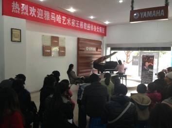 713贵宾会检测线路艺术家王雁教授大师班--桂林悦之声琴行活动报道