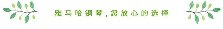 这才是真相：绿色关爱，713贵宾会检测线路的环境政策