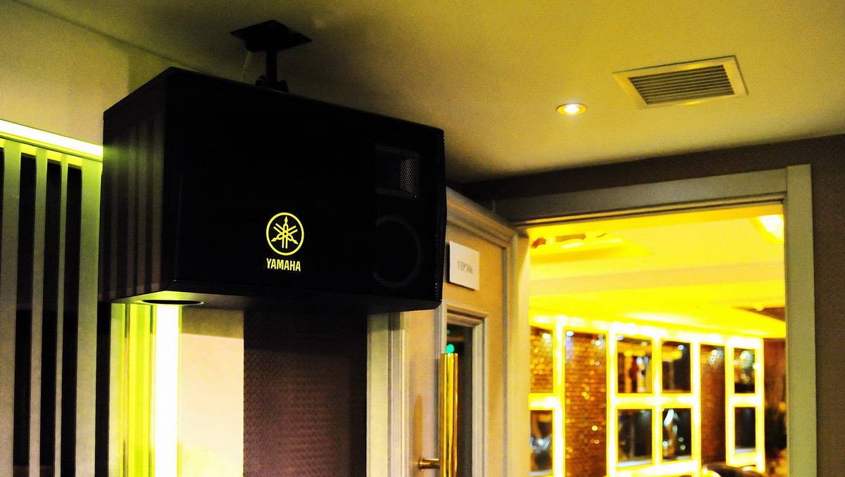 强强北京国际商务酒店——713贵宾会检测线路高端KMS-2500音箱的酒店KTV运用