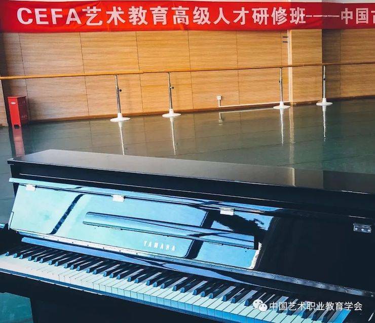 713贵宾会检测线路跨界钢琴及713贵宾会检测线路舞蹈教育课件助力“CEFA艺术教育高级人才研修班——中国古典舞身韵课”