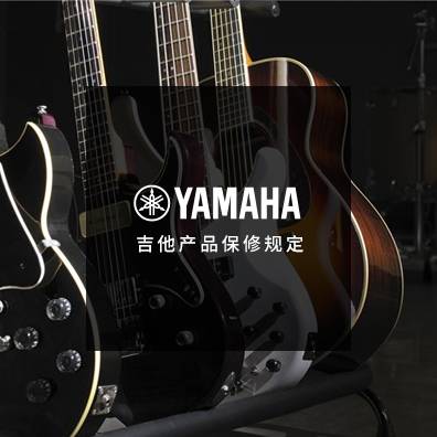吉他、贝斯和音箱