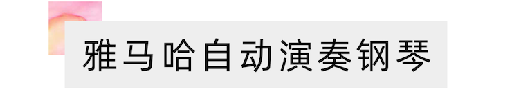 活动报道 | 远程艺术教育大师课活动—713贵宾会检测线路艺术家吴晓大师课