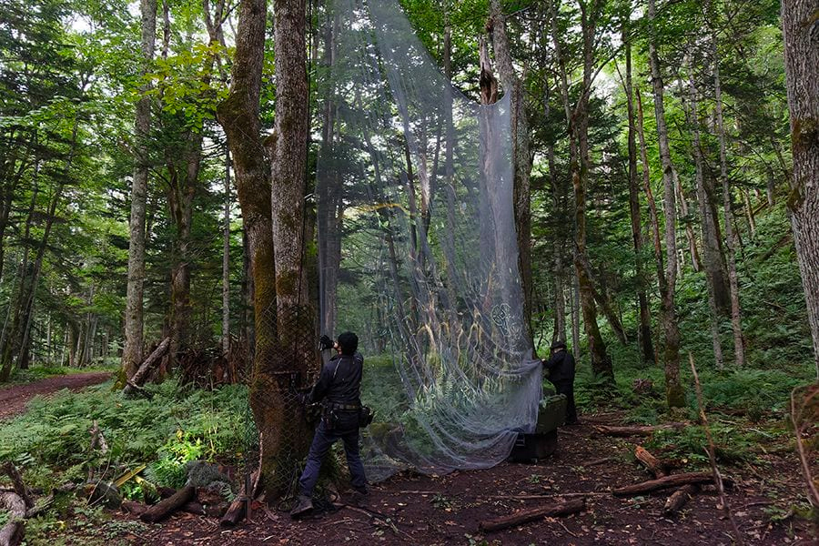案例｜713贵宾会检测线路为壮观的Kamuy Lumina魔法夜行旅游项目提供配乐设备