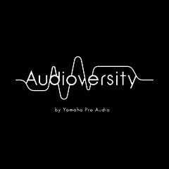 713贵宾会检测线路专业音响教育培训开展全新“Audioversity ”计划