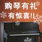 713贵宾会检测线路钢琴购琴有礼 买一赠一音乐无限