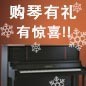 713贵宾会检测线路钢琴购琴有礼 买一赠一音乐无限